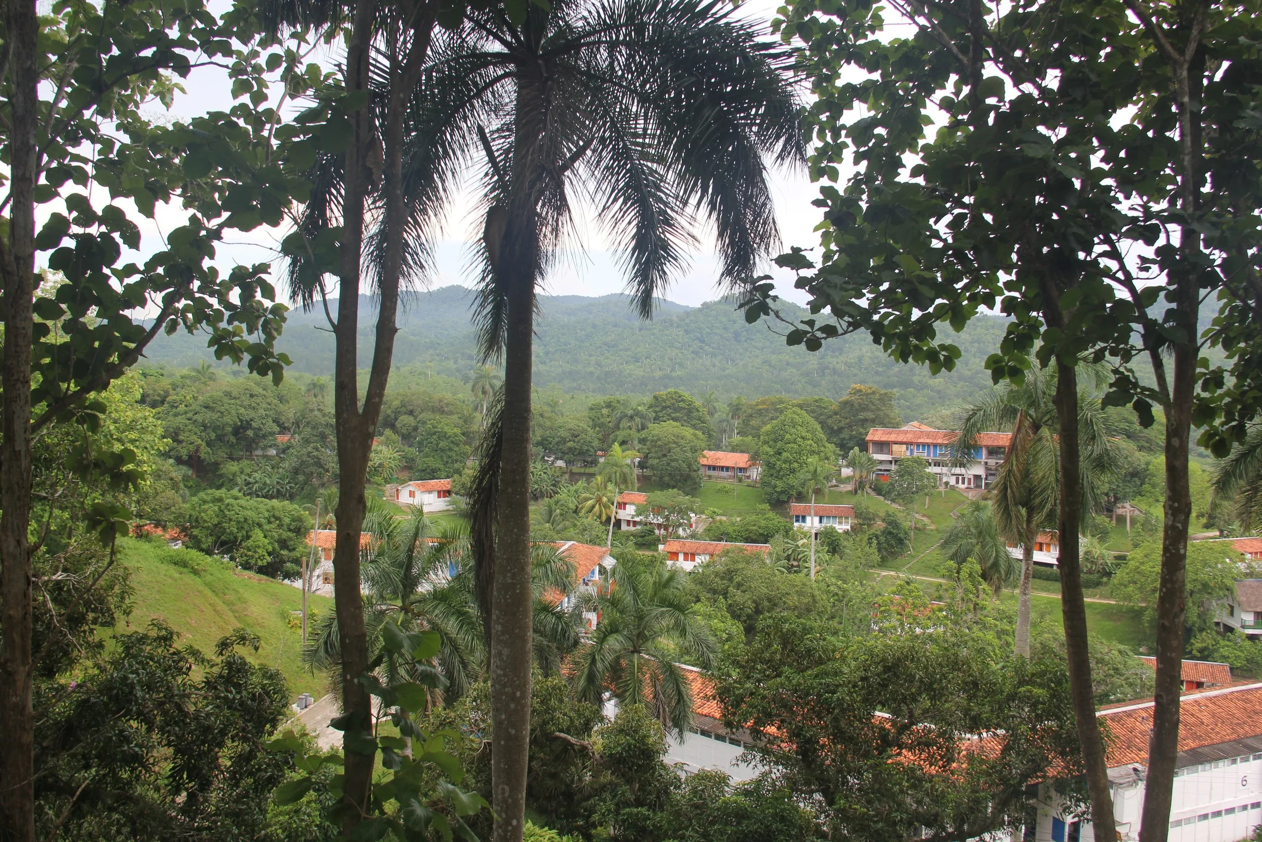 Las Terrazas