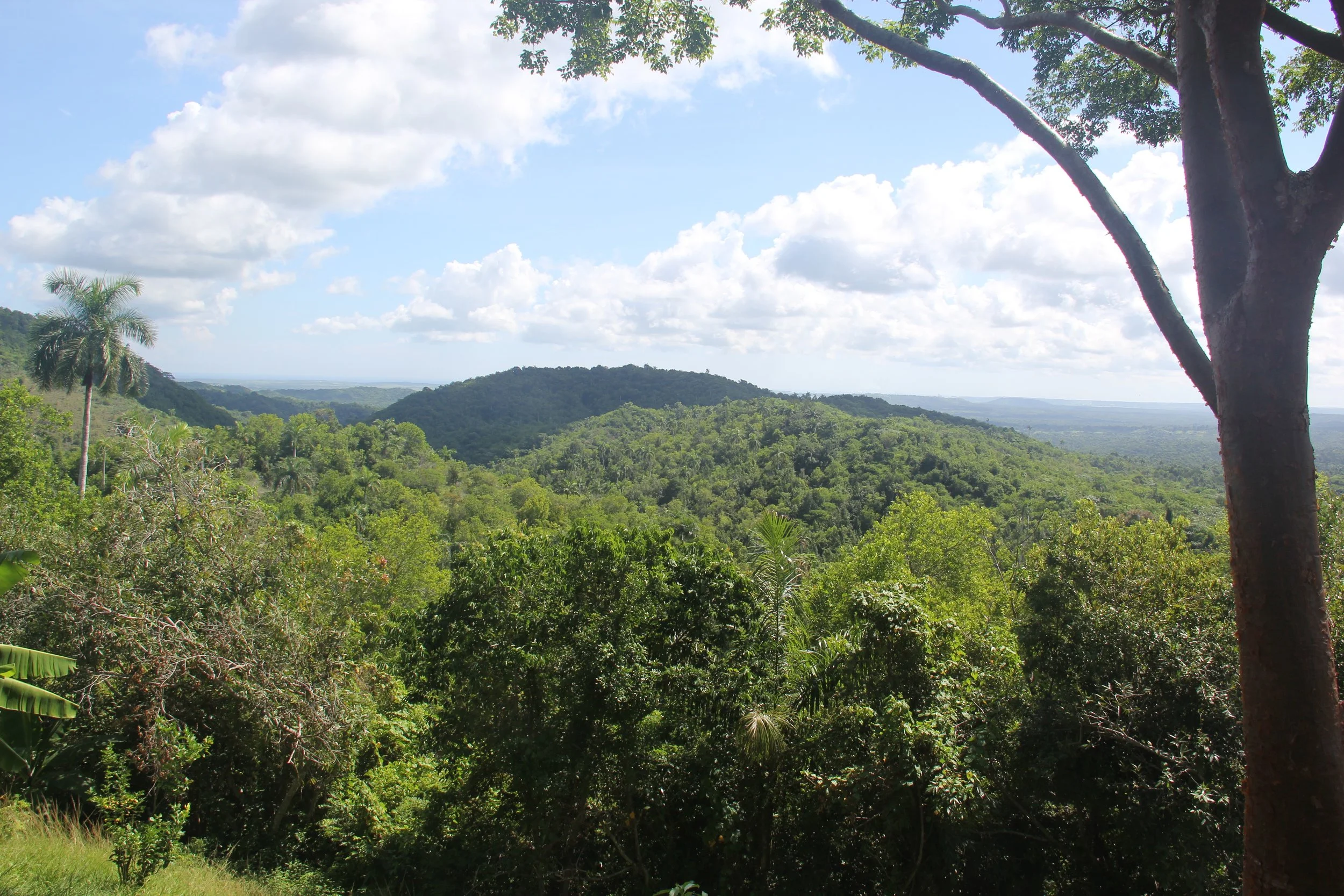 One of the breathtaking views from the mountaintop coffee plantation.