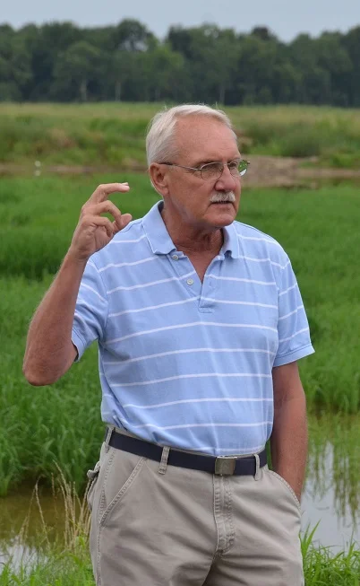 Dr. Steve Linscombe is the new Director of The Rice Foundation. Photo by the LSU AgCenter