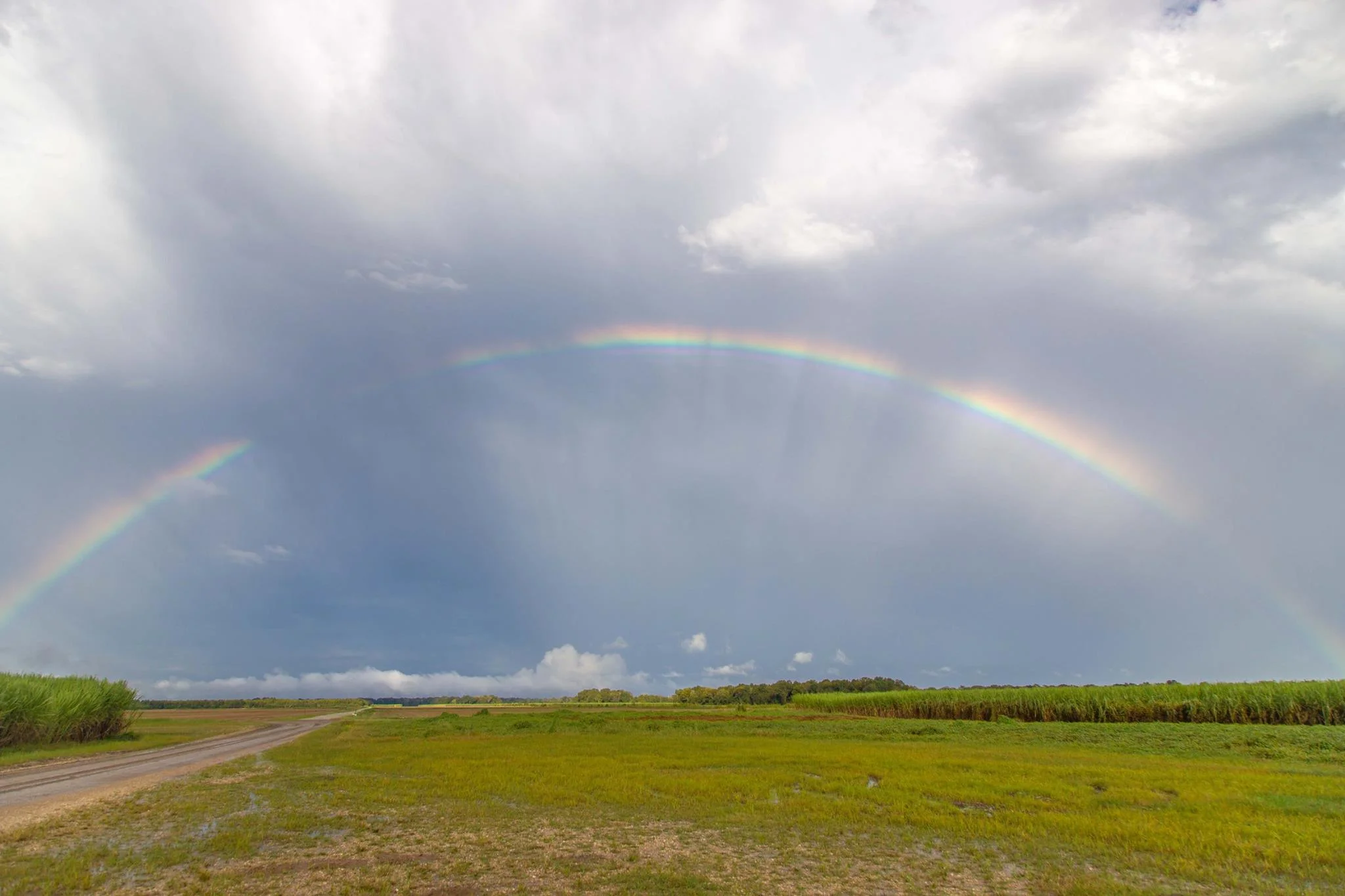 Photo by EG Robichaux, Labadieville, Louisiana