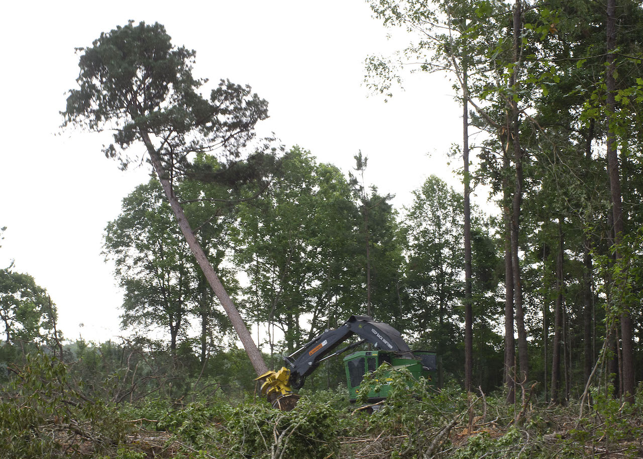 Ten Years of Timber Safety