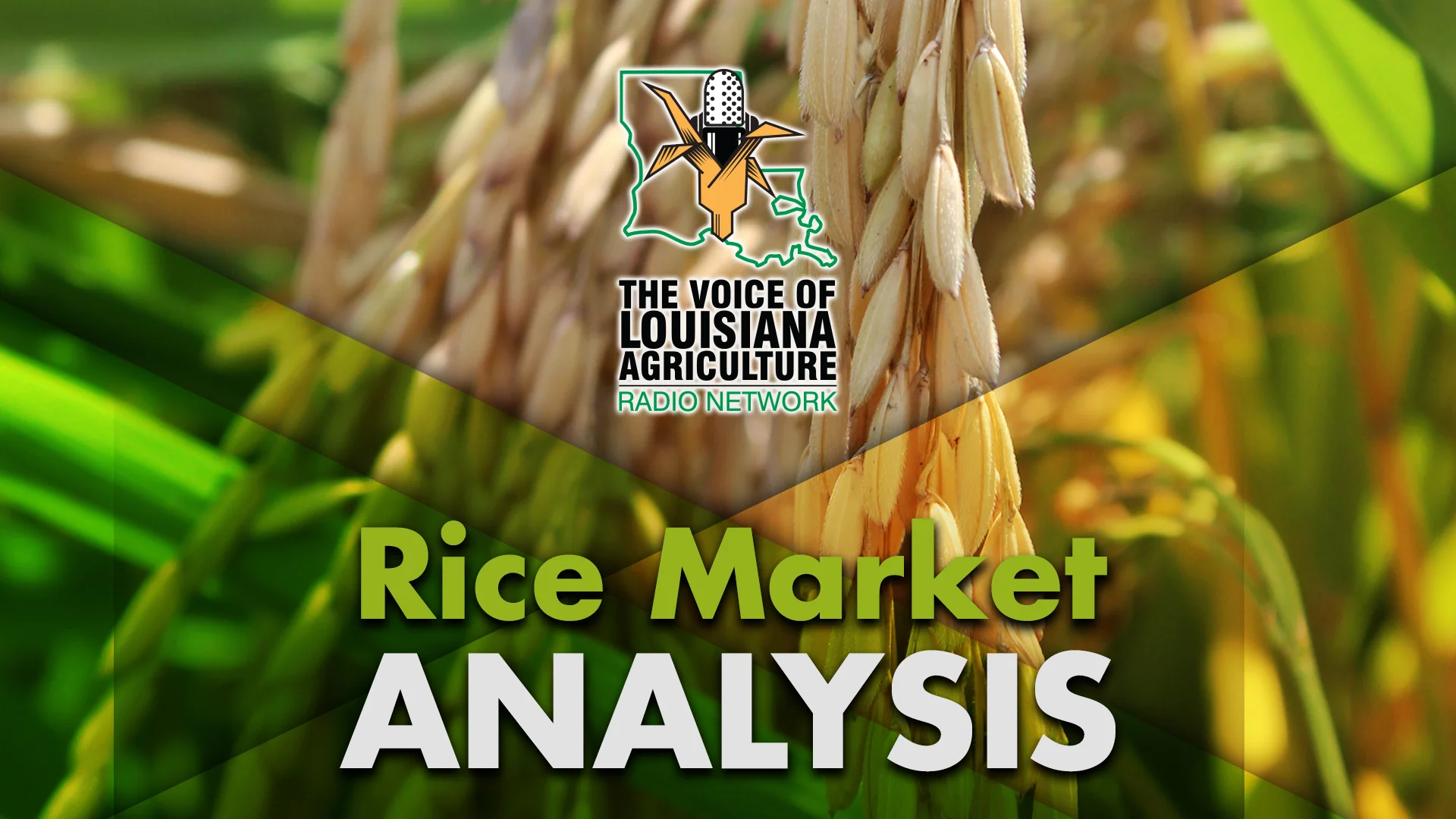 The Closing Market Report on the Voice of Louisiana Agriculture Radio Network, featuring rice market commentary from Mark Tall, rice marketing specialist with the Louisiana Farm Bureau Marketing Association.