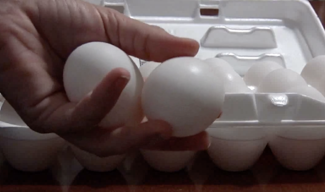 Eggs.png