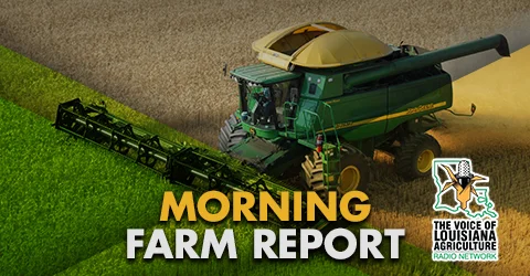Carey Martin takes a look at the latest news in Louisiana agriculture, yesterday's grain market analysis and prices, and the latest livestock markets on The Voice of Louisiana Agriculture Radio Network.