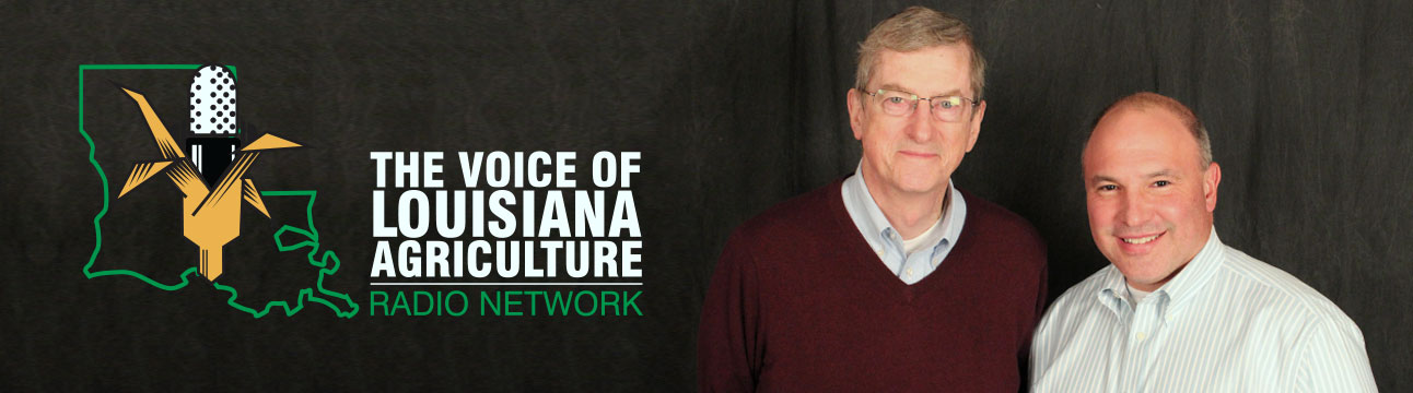 don molino and I split the broadcasting duties each day on the voice of louisiana agriculture radio network. we also produce a daily e-newsletter called "the Daily Voice," and run its companion facebook and twitter accounts. don has become one of the best friends i could ever ask for.