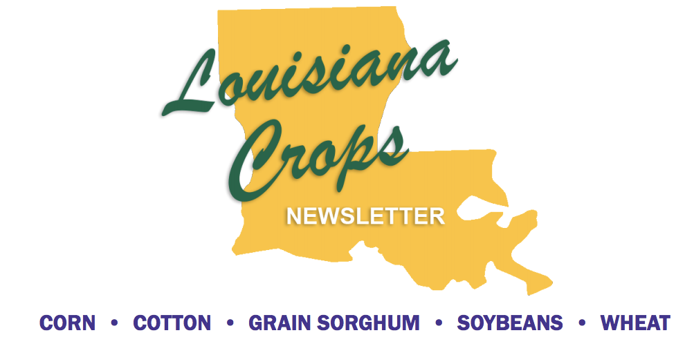 Louisiana Crops Newsletter - Volume 16, Issue 2 - April 2026