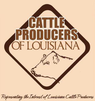 Cow Country Reporter: April 2026