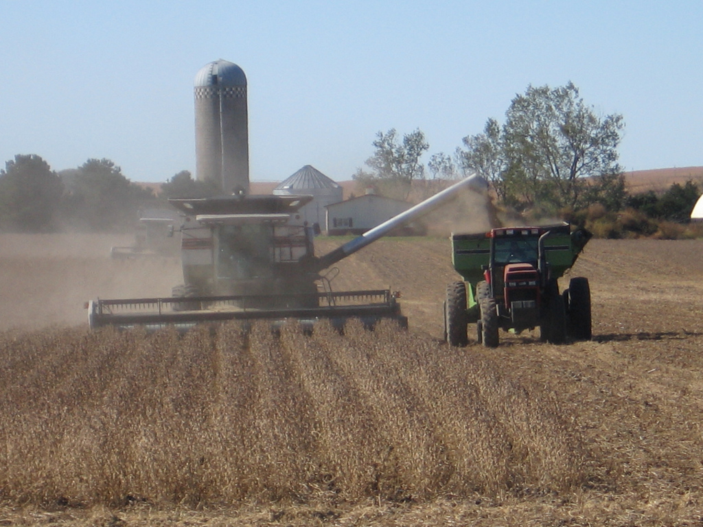 soybean-harvest.jpg