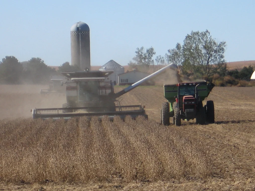 soybean-harvest.jpg