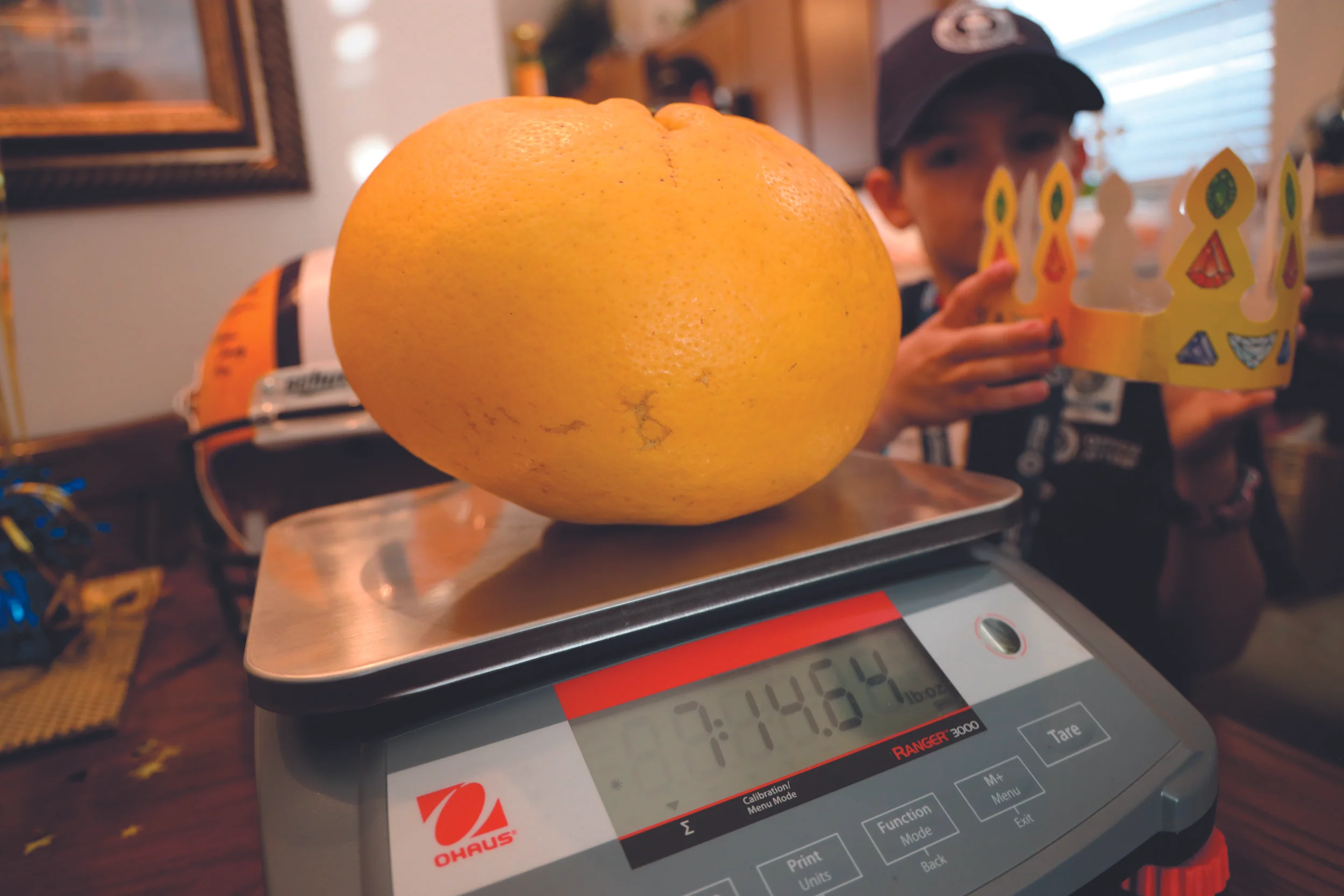 grapefruit.jpg