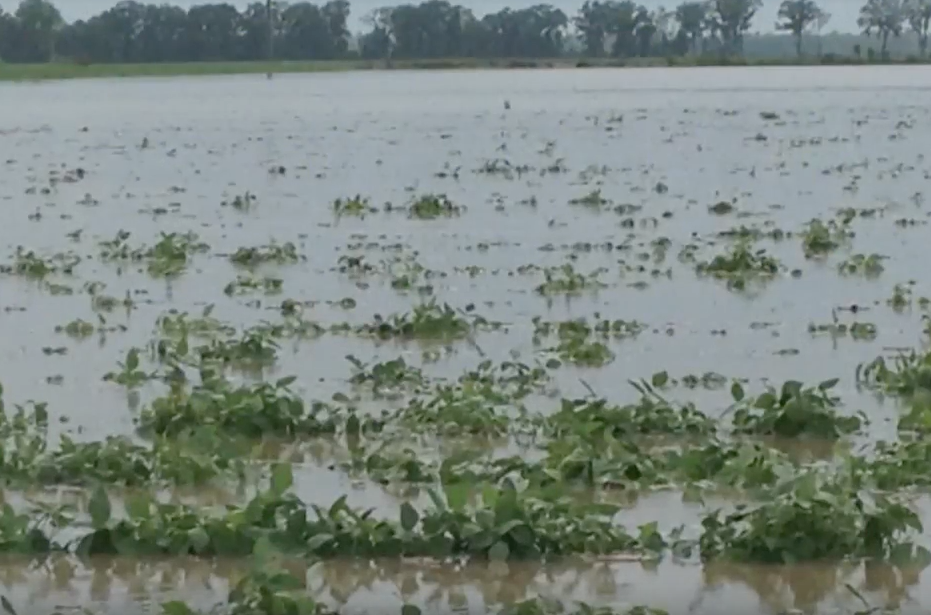Flooding.png
