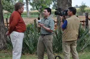 Eucalyptus: Koalas Not Included