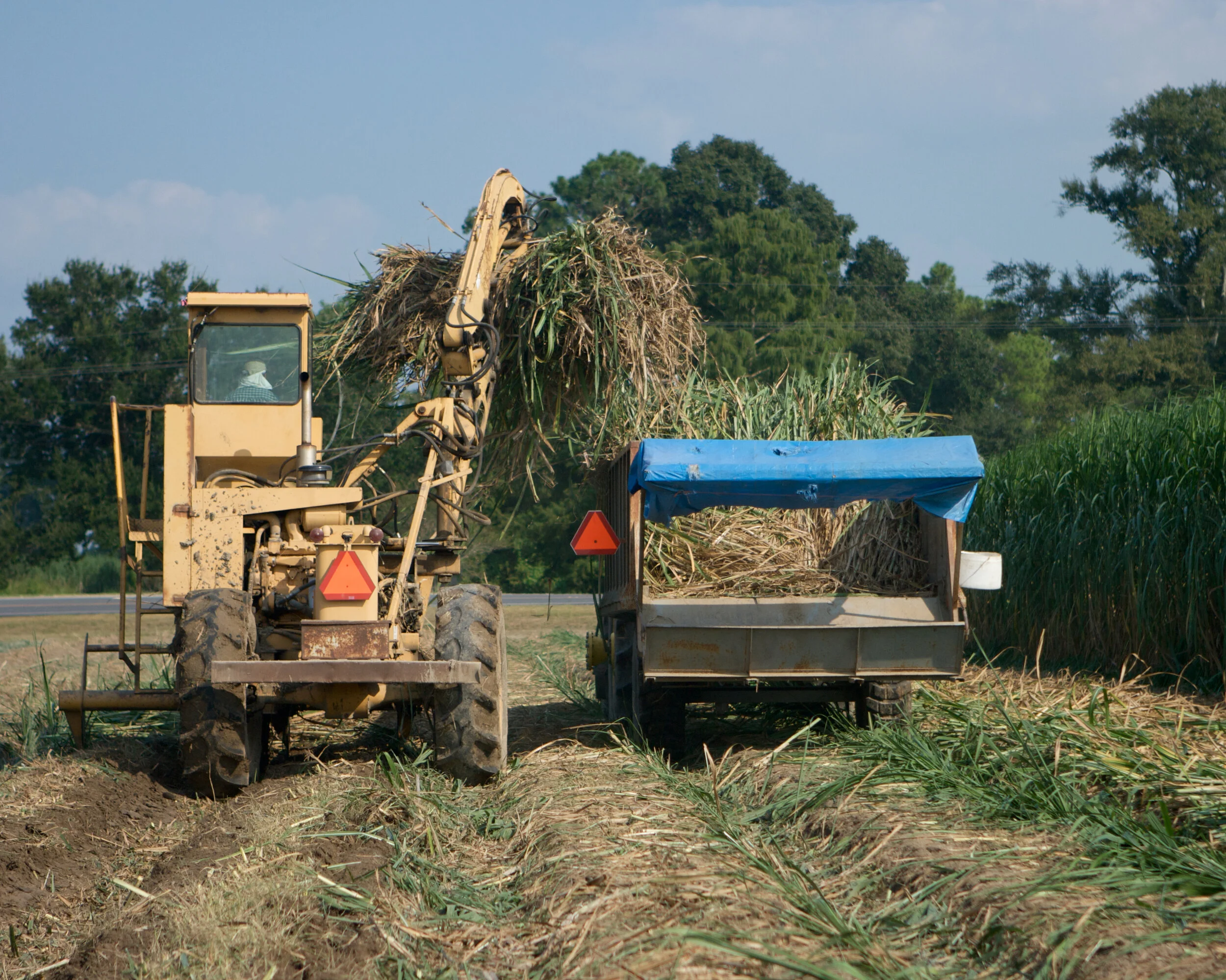 Sugarcane Grinding Season Coming To An End