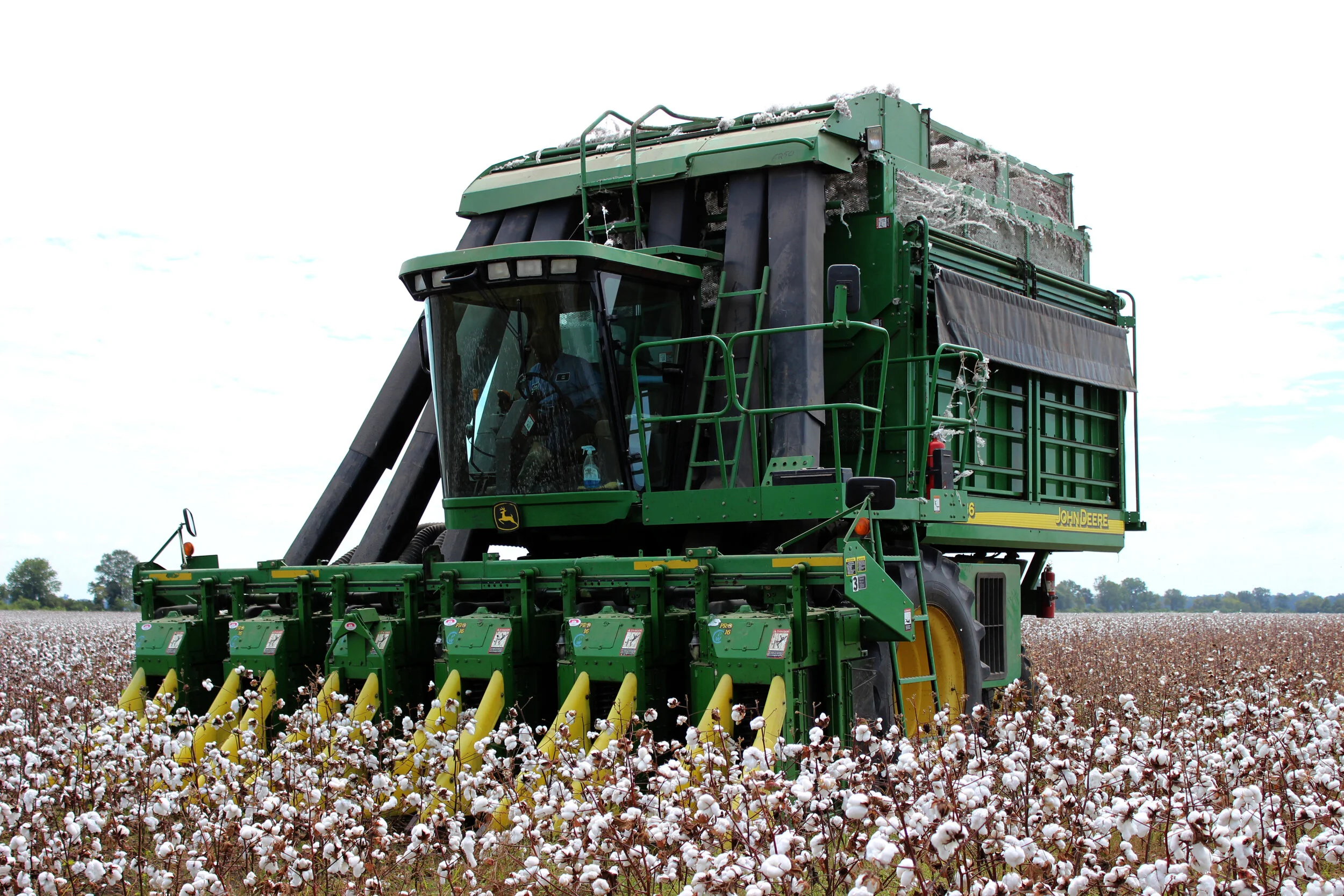 How will the Biden Administration Affect the Cotton Industry?