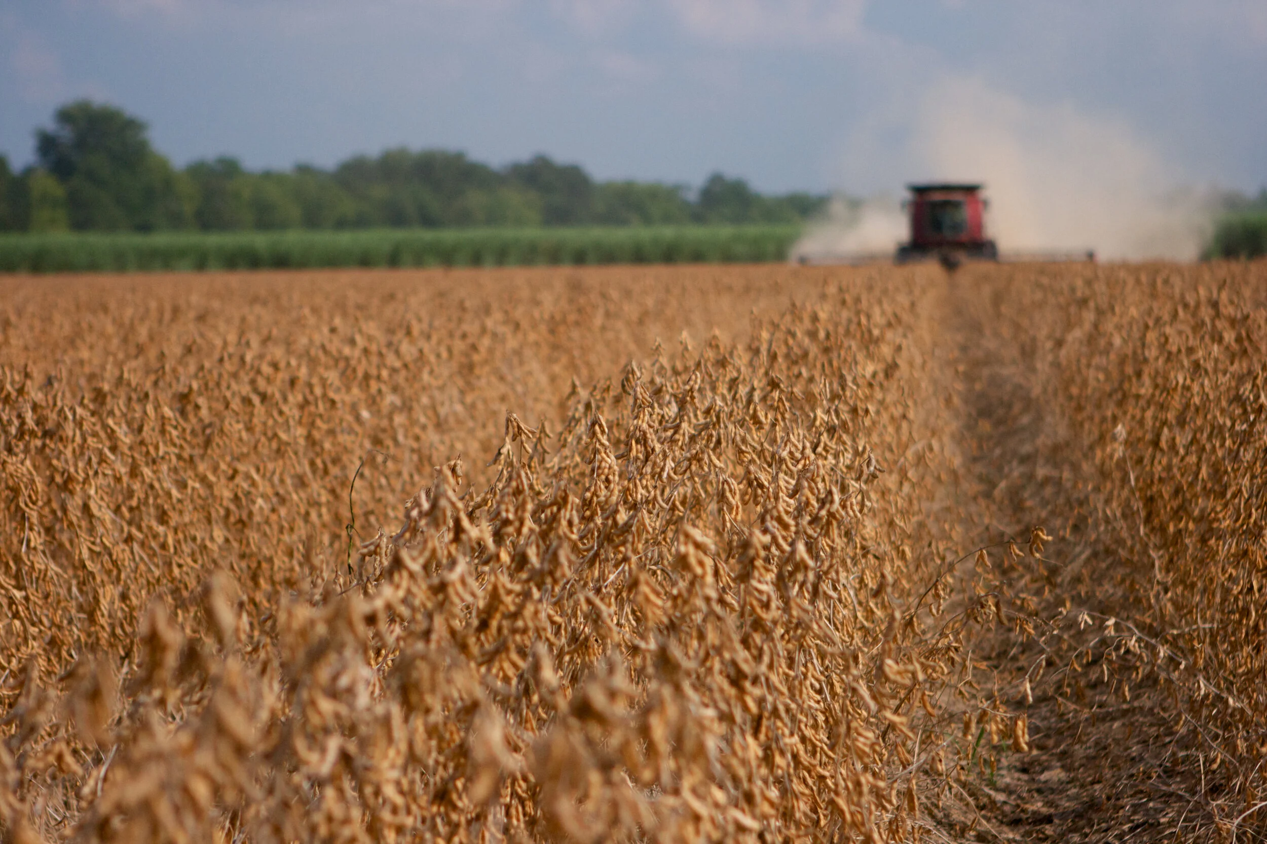 Moving Grain: Export Inspections Recede, Soybeans Continue To Rise
