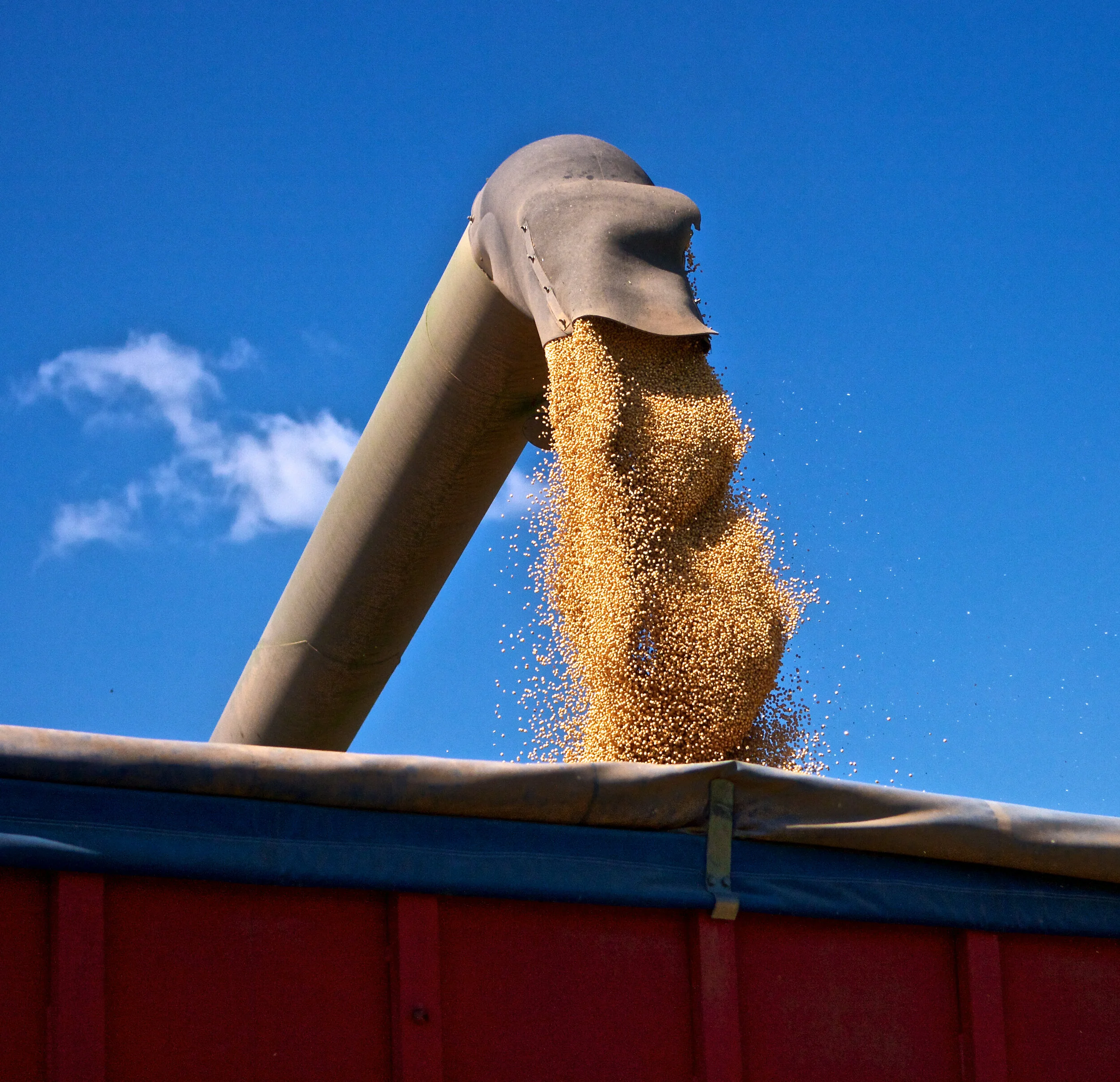 US Soy Starts 2021 With Big Sales To China