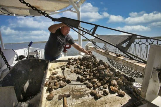 Louisiana Oysterman Tony Tesvich’s Tales From the Gulf