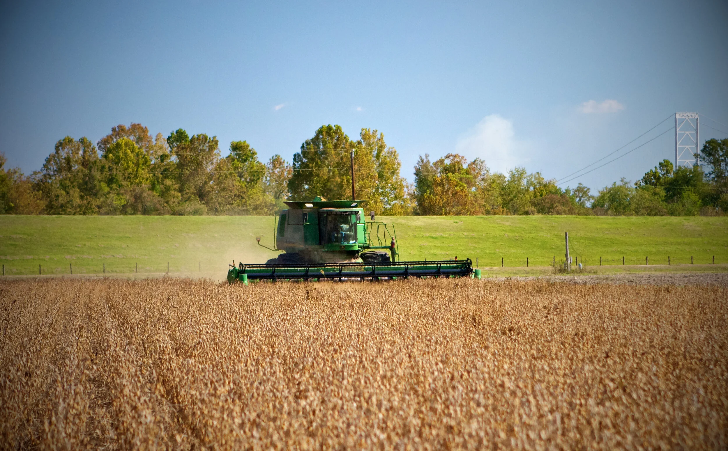 Do Winter Cover Crop Seeding Rates and Soil Type Impact Soybean Production?