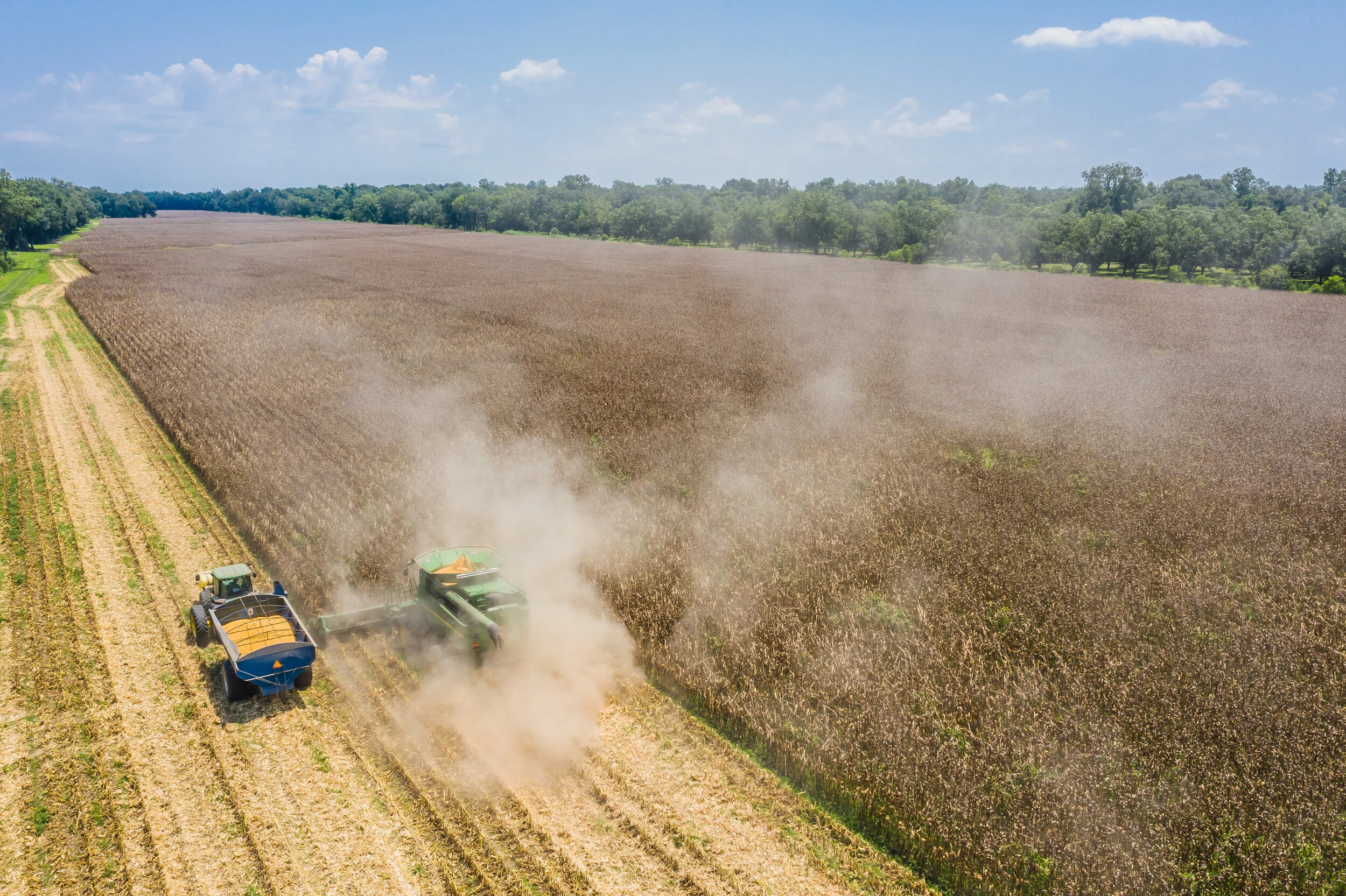 Advanced Corn Production Meeting Announced