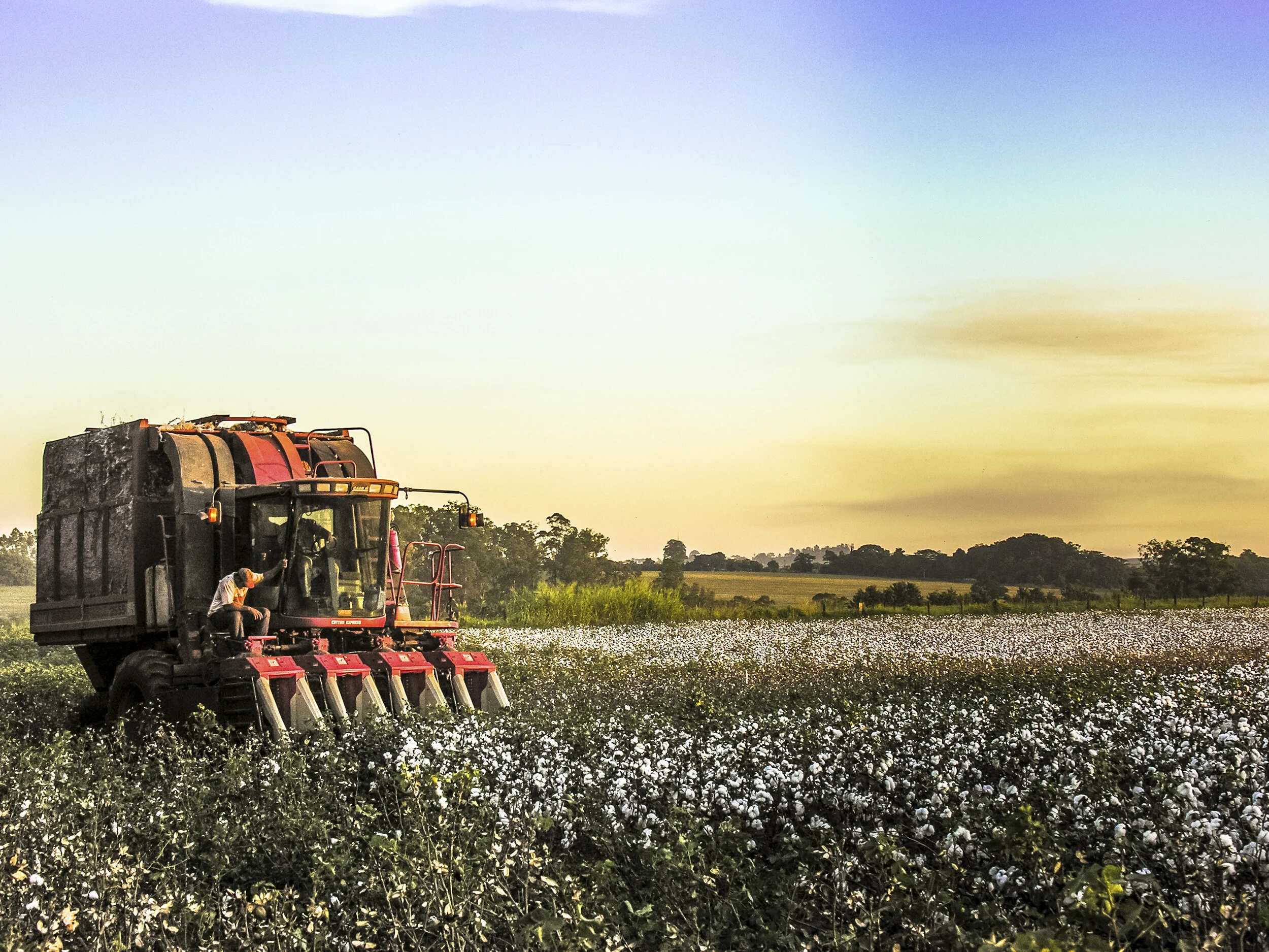 Requesting Realistic Rules