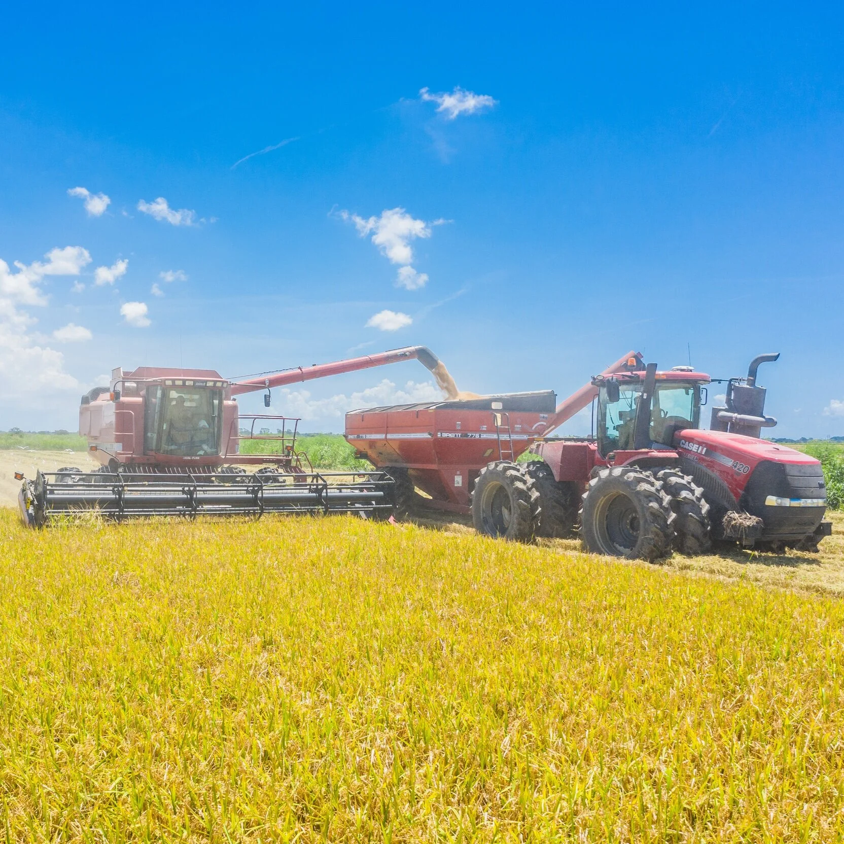 Biden Administration Lifts Travel Restrictions for Temporary Farm Workers Just in Time