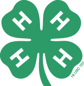 4-H Offers Broad Variety of Ways for Students to Learn, Grow, Connect