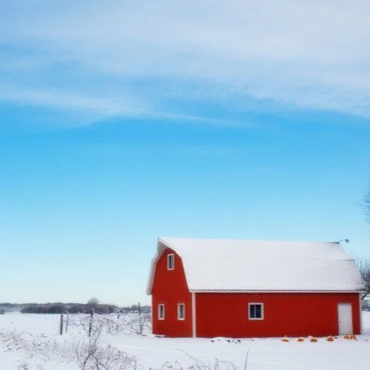 Farm Bankruptcies During 2020