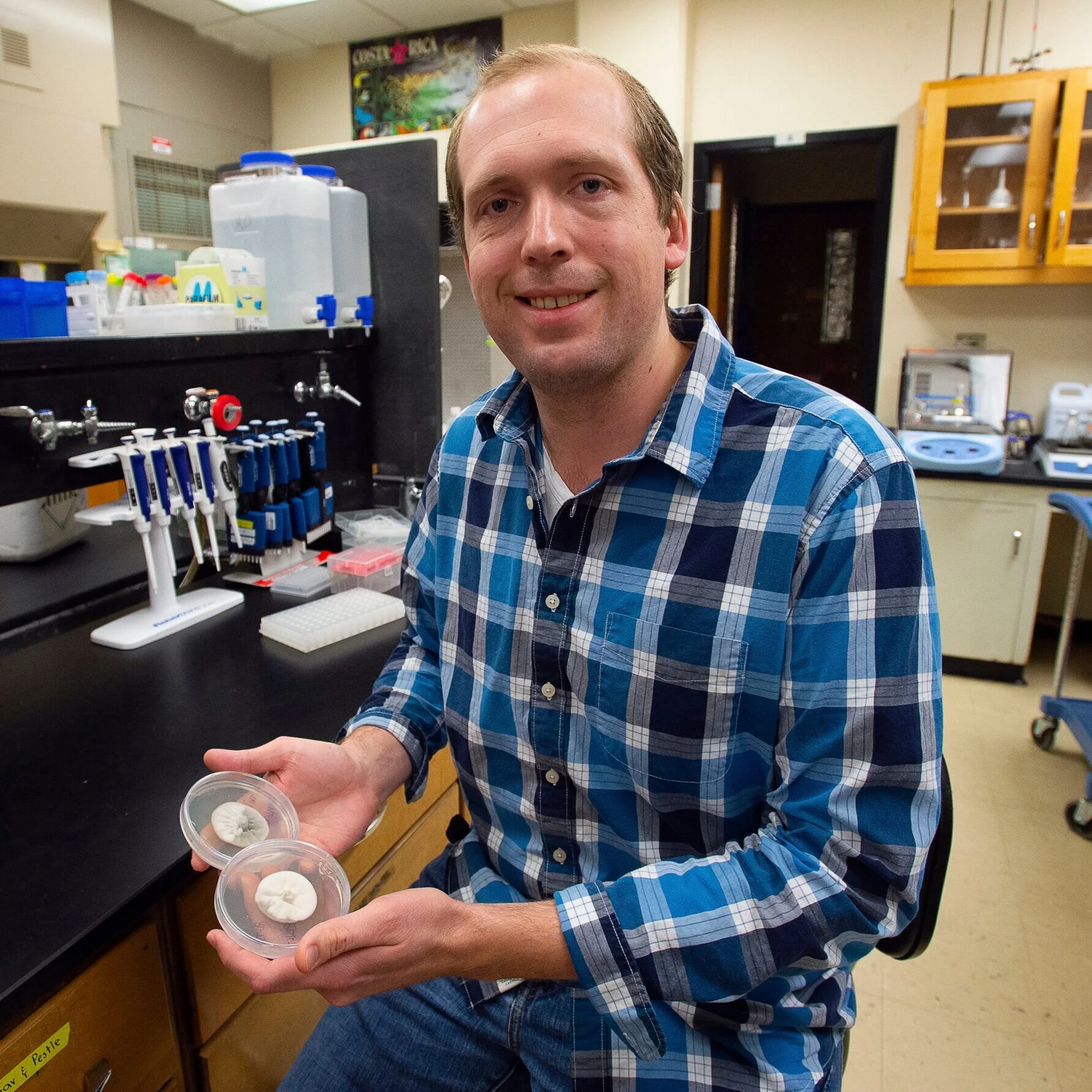 LSU AgCenter Researcher Aims to Pinpoint Disease Resistance Gene in Rice