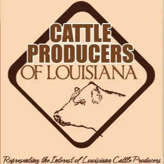 Cow Country Reporter, February 2021