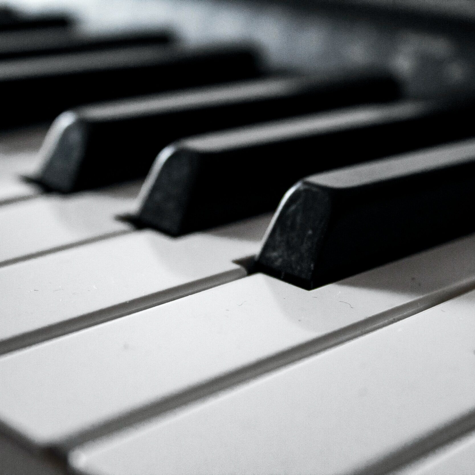 Piano Keys From Rice?