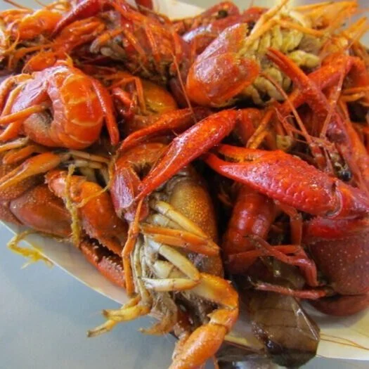 This SoCal Bar Is Flying In Hundreds Of Pounds Of Seafood For A Delicious Mardi Gras Crawfish Boil