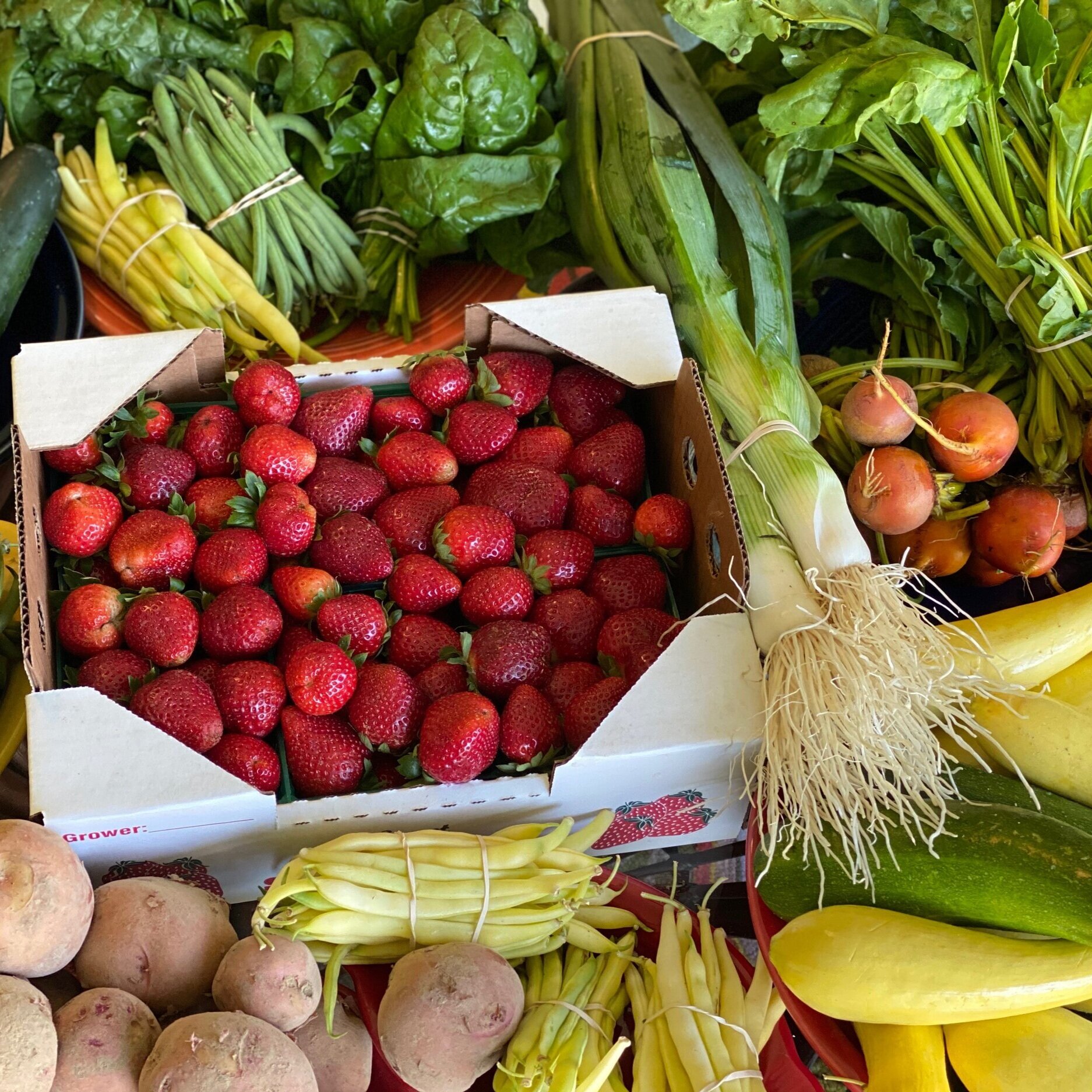 LSU AgCenter Offers Training Session Feb. 17 for for Selling at Farmers Markets