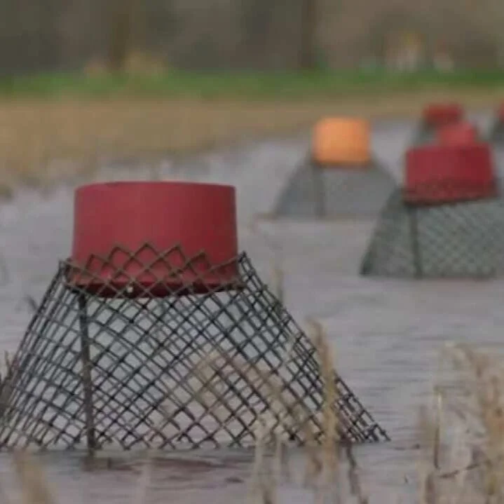 Freezing Temperatures May Soon Put Damper on Crawfish Season