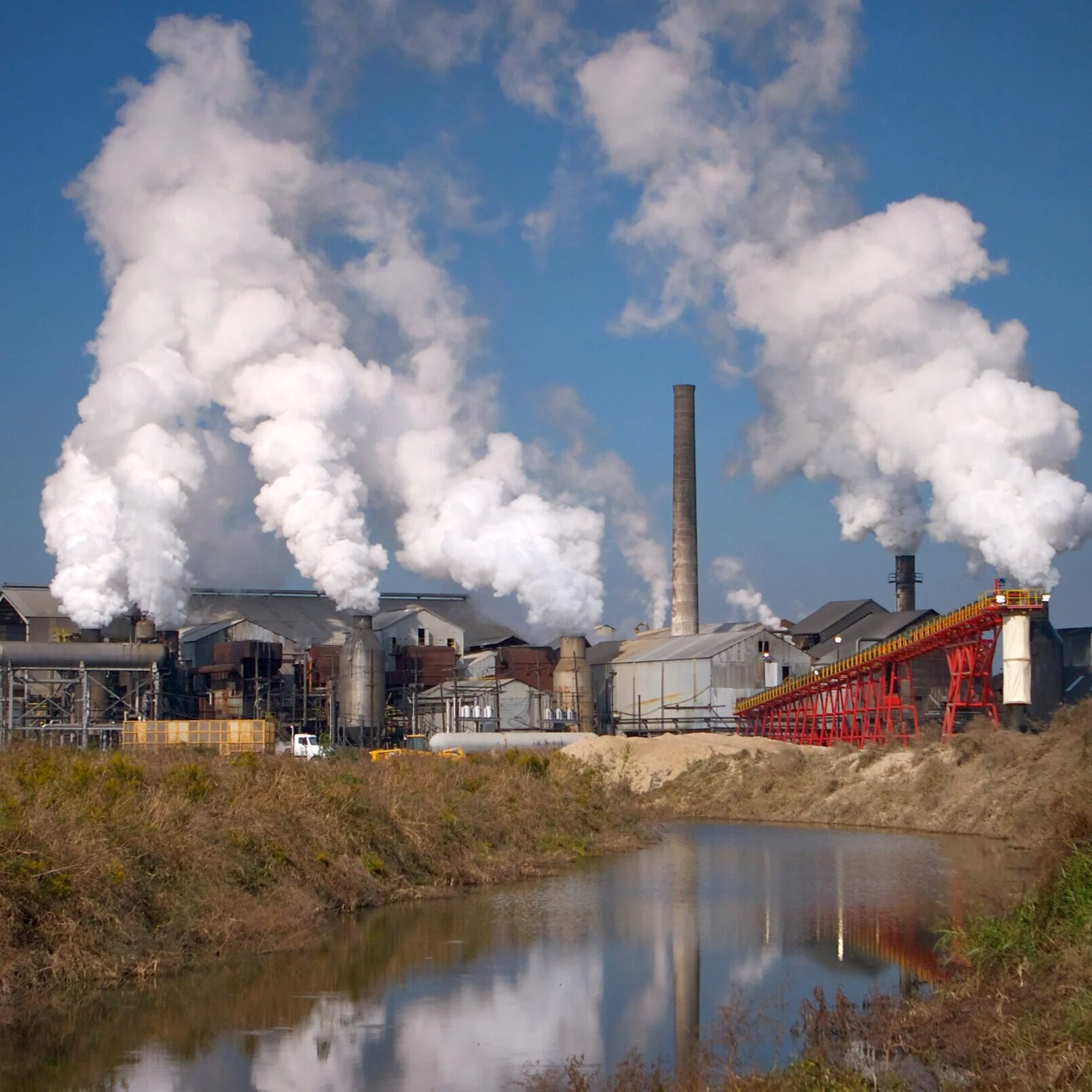 Sugarcane Farmers Meet Virtually to Prepare for Next Crop