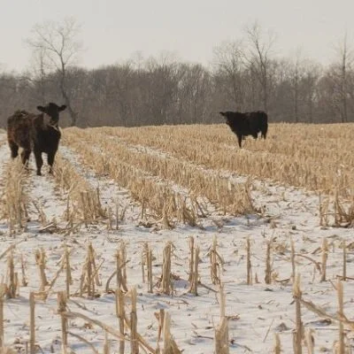 Prepare For Freezing Temps