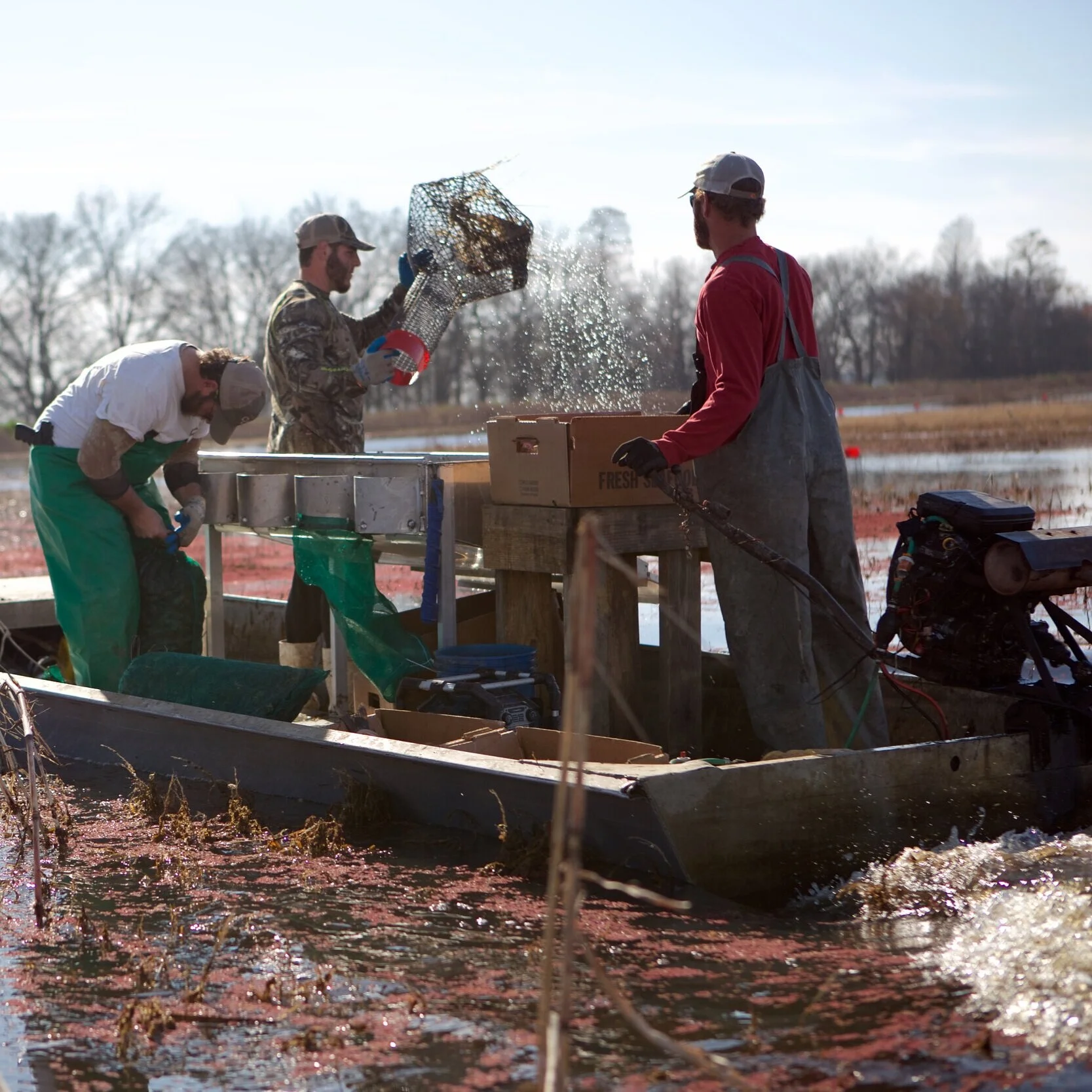 Thankfully, the Cold Weather Won’t Affect Crawfish Season Too Much
