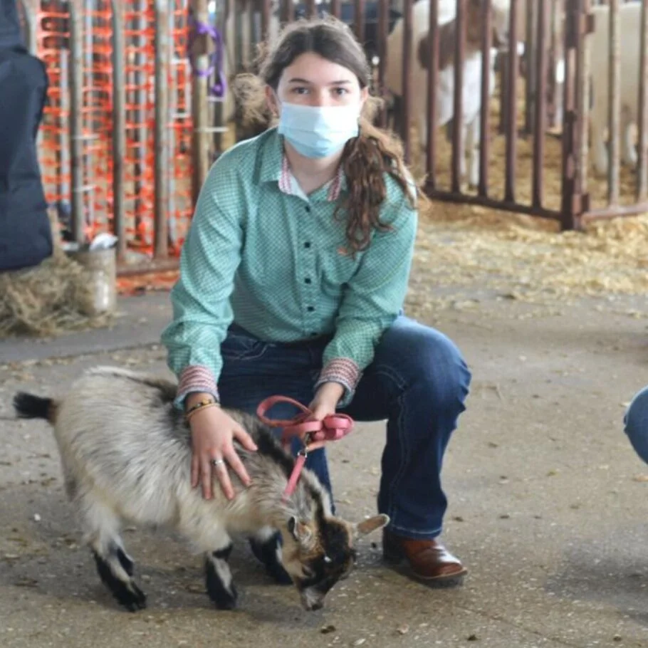 Family Traditions Remain Despite Livestock Show in Pandemic