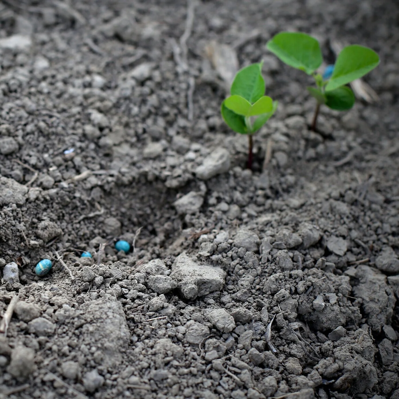 LSU AgCenter to Host Soil Health Forum March 17