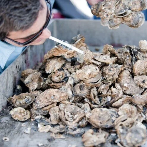 Nicholls, Federal Government Create Database for Coastal Research