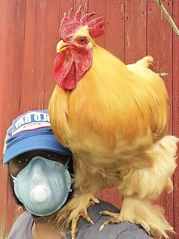 Black History Month 2021: Agriculture, Family and the Land