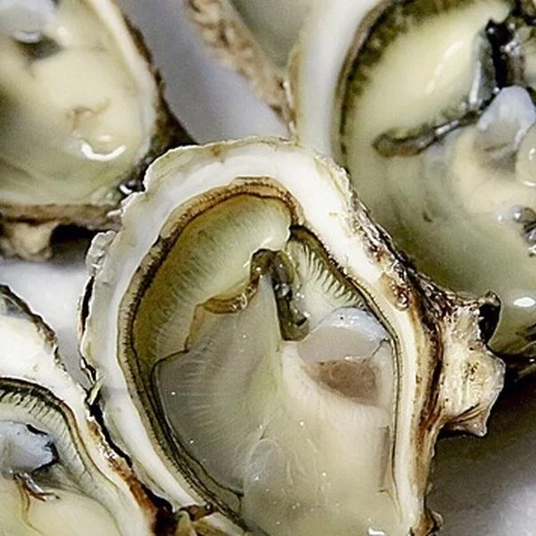 Cameron Company Accused of Illegally Harvesting Oysters from Calcasieu Lake