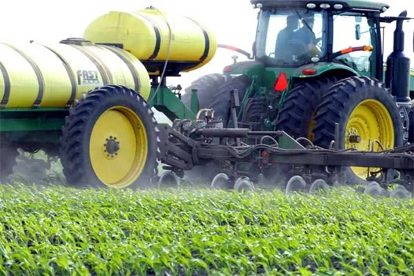 Louisiana Corn: Should You Apply Pre-Tassel Nitrogen?