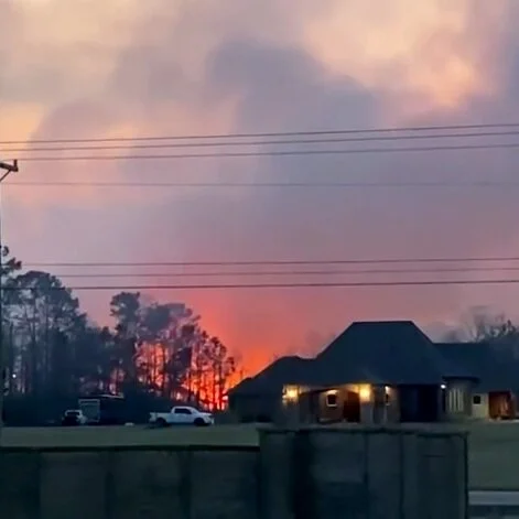 Timber Felled by Hurricanes Burn at Sam Houston Jones State Park
