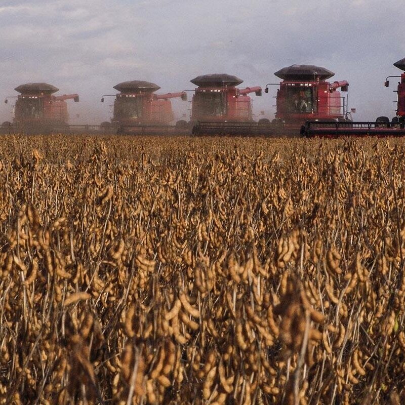 USDA Unexpectedly Raises Brazilian Soy Forecast