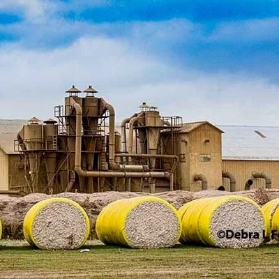 Weekly Cotton Market Review