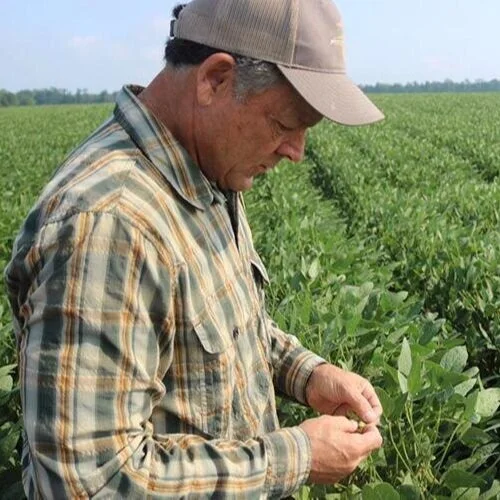 Local Corn Grower Earns Top State Honors in National Corn Yield Contest