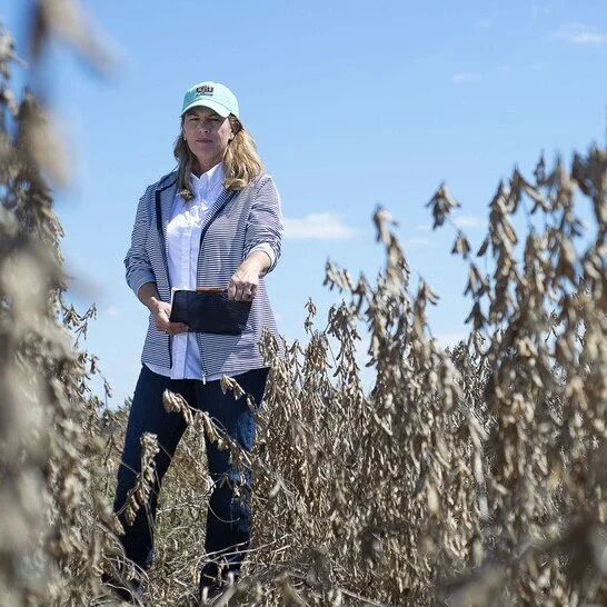 Do Winter Cover Crop Seeding Rates &amp; Soil Type Impact Soybean Production?