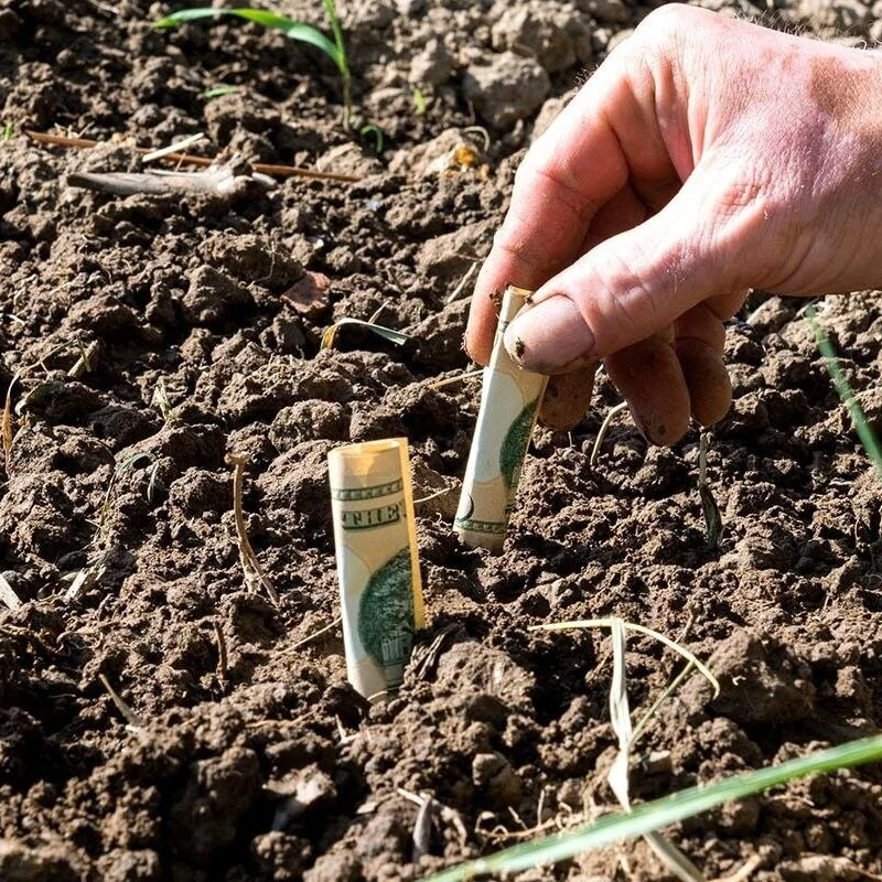 LSU AgCenter Gets USDA Funding For Research