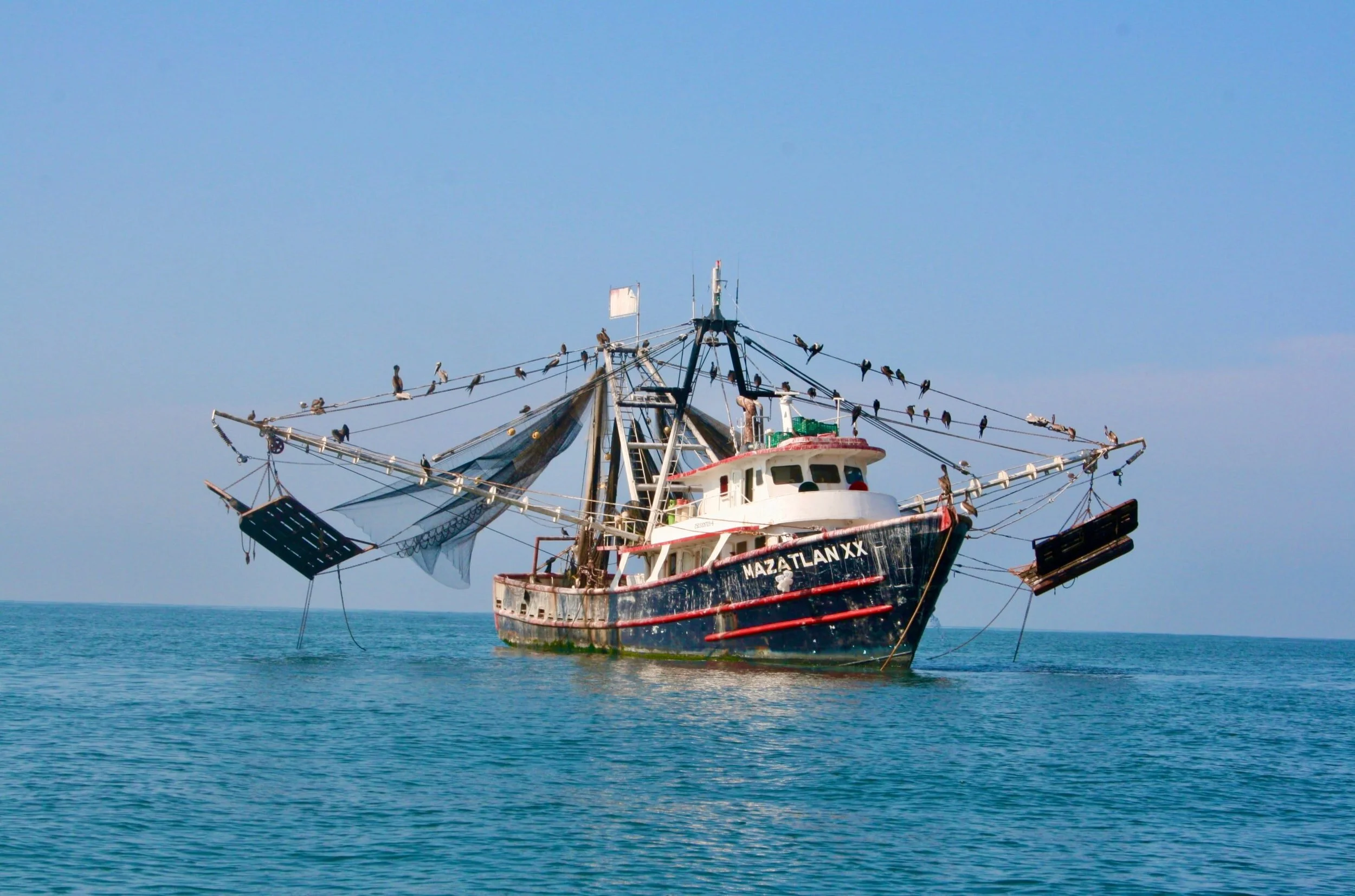 $12.3 Million Available for Louisiana Fisheries Assistance