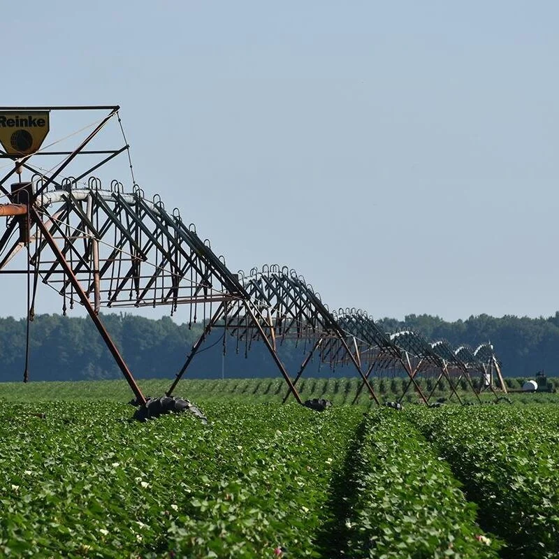 Dicamba Labels Bring Few Recommendation Changes